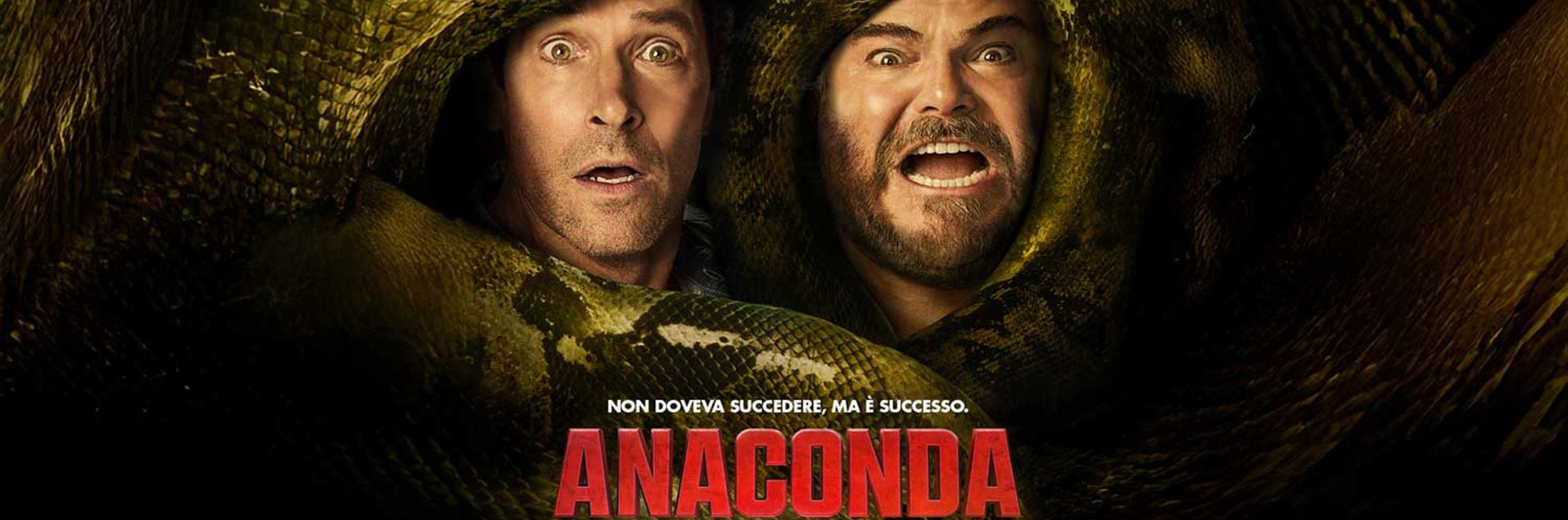 anaconda